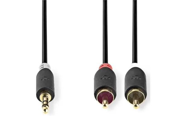 NEDIS Connectique Audio Co CABW22200AT100